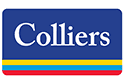 logo (1)