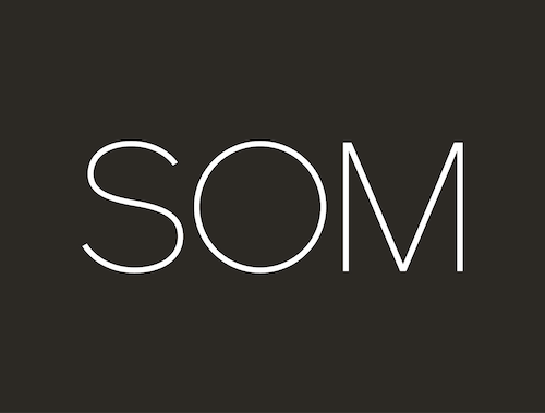 som (1)