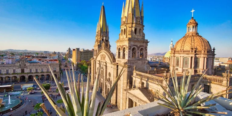 Estudios de mercado y modelos financieros en Jalisco con CREA SOLUCIONES